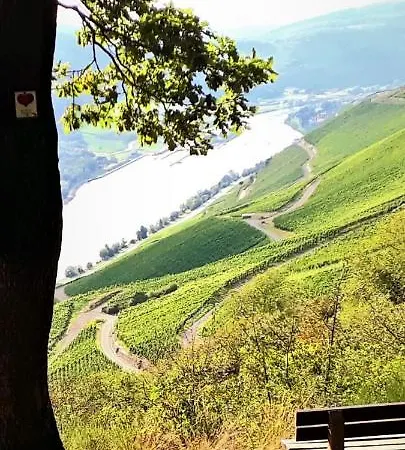 Gaestehaus Schwaab Frühstückspension *